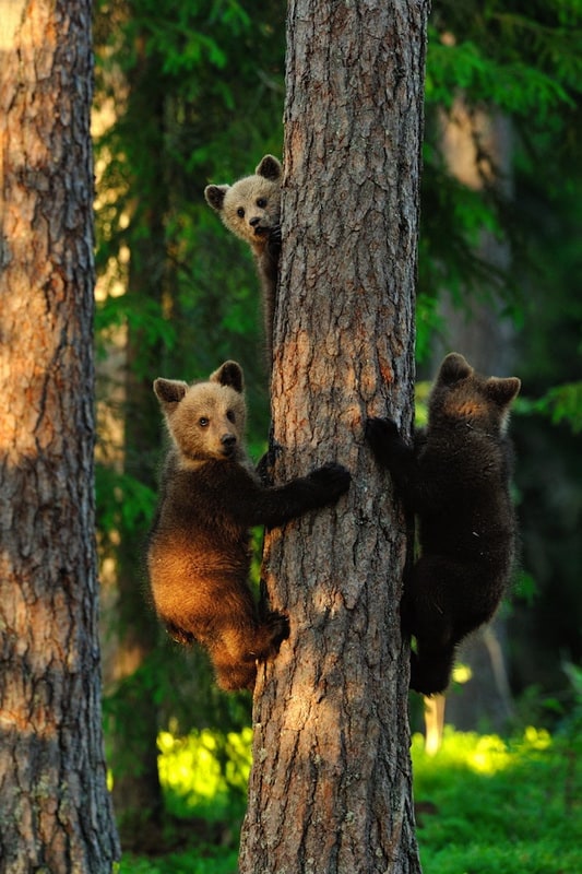 Photo-Contest Of National Geographic 2013 | FREEYORK