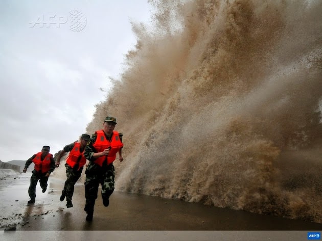 Best AFP Pictures of 2013 4