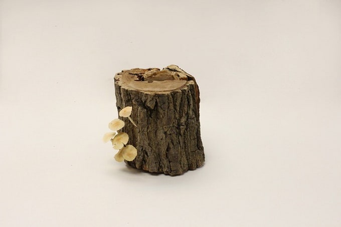 Wooden Book by Pochiko Ho pochikowoddenbook2