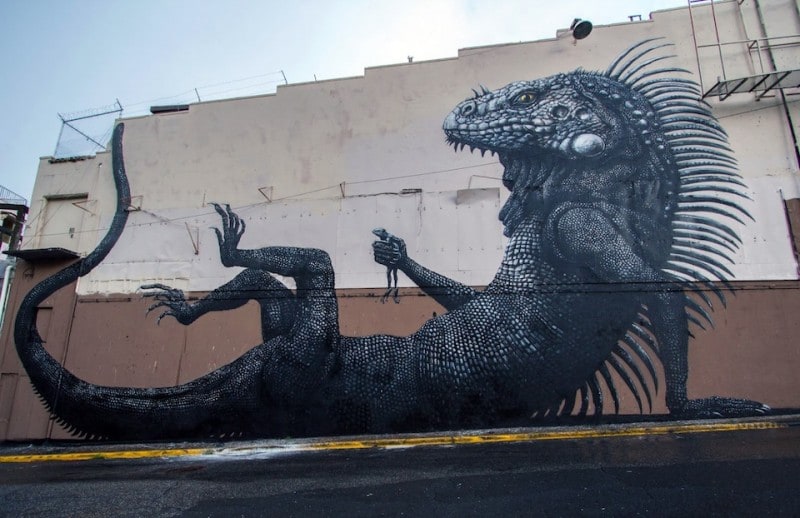 Street-Art-by-ROA-at-Los-Muros-Hablan-in-San-Juan-Puerto-Rico-1