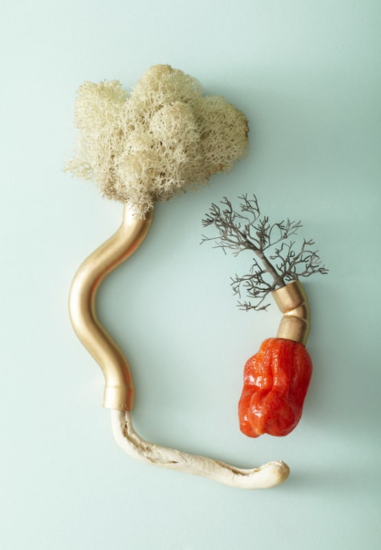 Photographer Victoria Ling victoria-ling-photography-pegs-600x806
