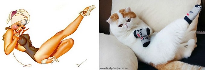 catsthatlooklikepinupgirls04