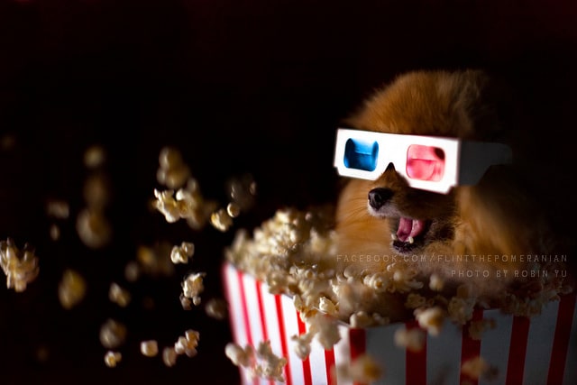 flint-popcorn-movie-IMG_4510-24th-Edit-1-facebook-watermark