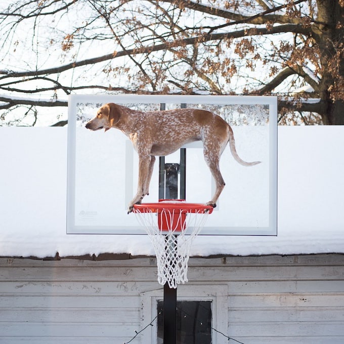 "Maddie on things" by Theron Humphrey maddieonthings_07