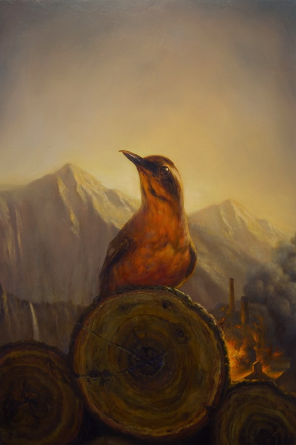 martinwittfooth12