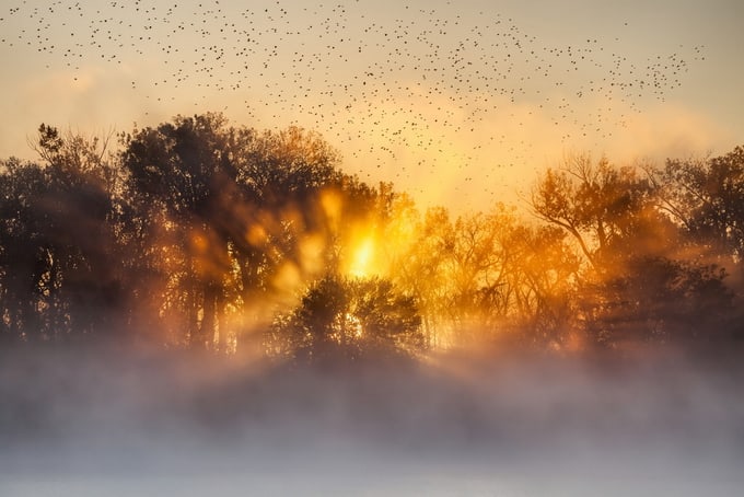 rays of light