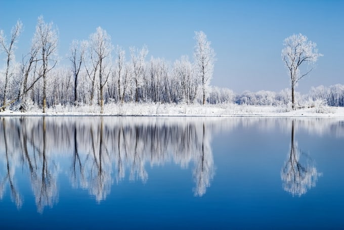 Frosty Reflections