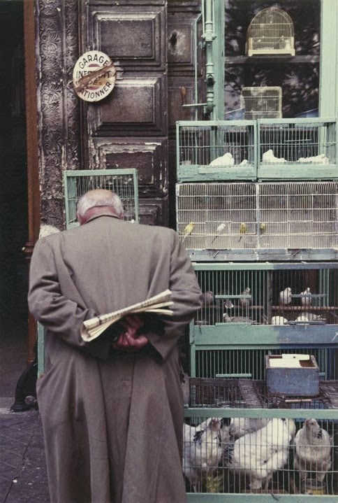paris+of+1950s+(21)