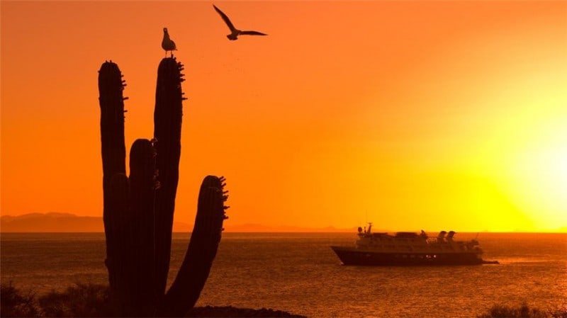 san-esteben-the-gulf-of-california-mexico