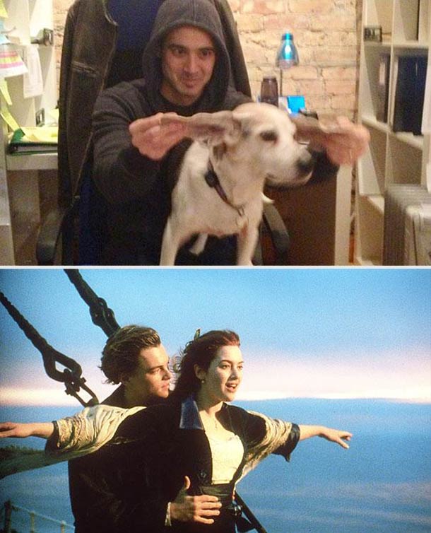 dog-movies-12