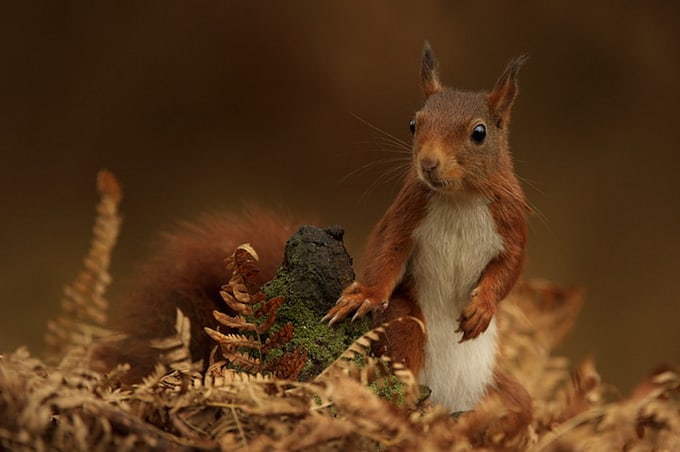 Photographer Edwin Kats edwinkats_07