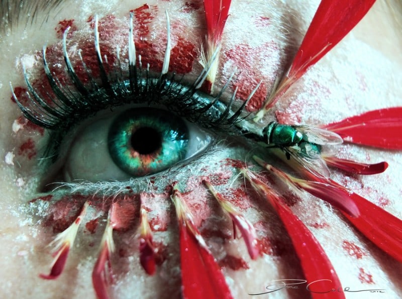 fly_in_my_eye_by_pixiecold-d5d2avt