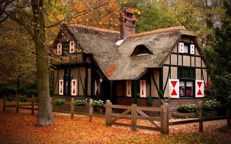 forest_house_7