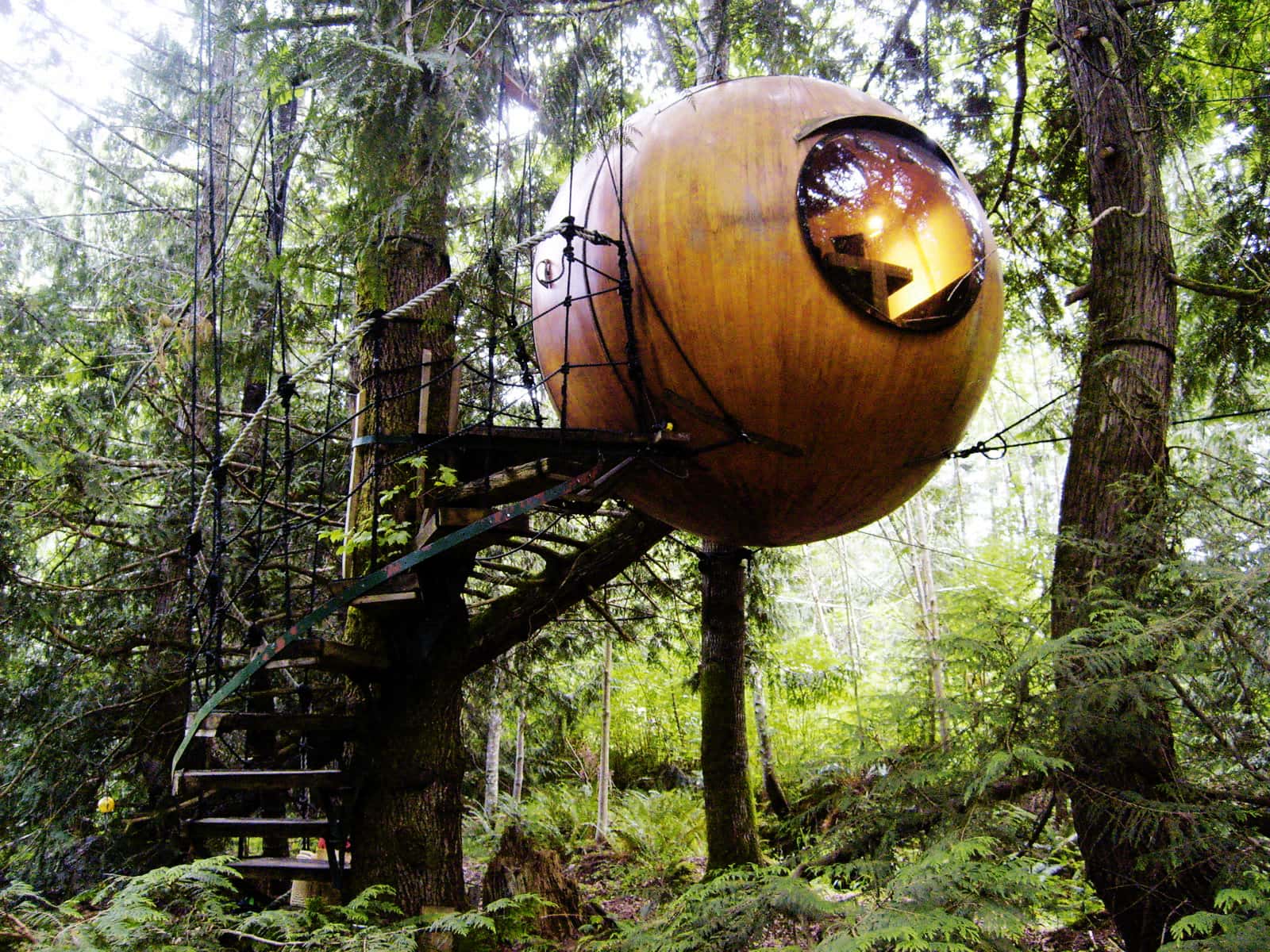 The Free Spirit Spheres: Suspended Spherical Tree Houses | FREEYORK