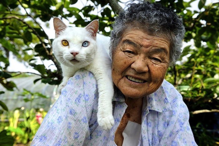 grandmother-and-cat-miyoko-ihara-fukumaru-17