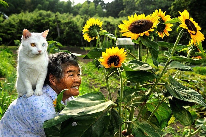 grandmother-and-cat-miyoko-ihara-fukumaru-2