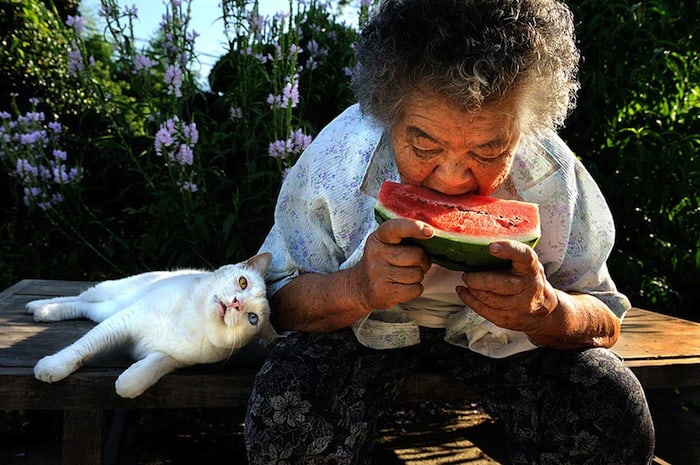 grandmother-and-cat-miyoko-ihara-fukumaru-3