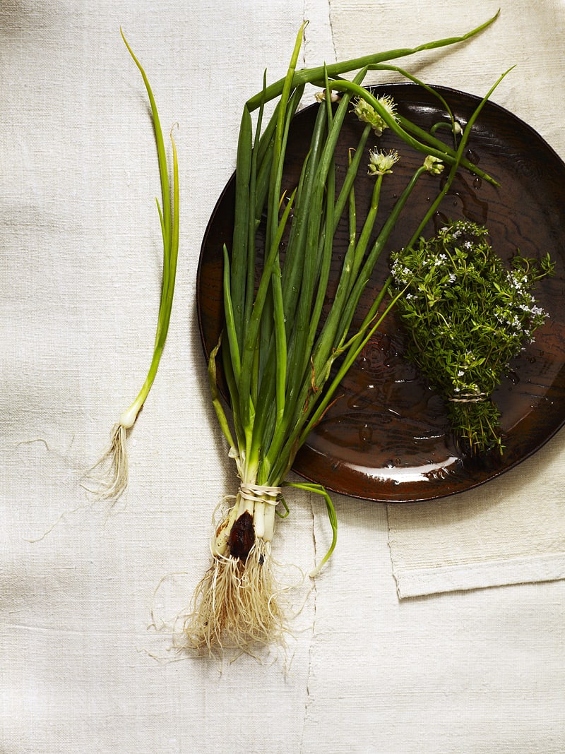 onions-and-thyme_0010