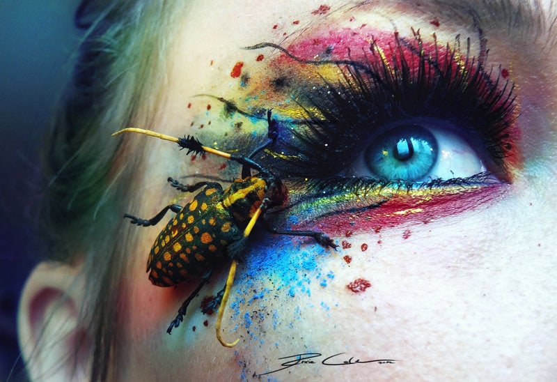 toxic_meet_by_pixiecold-d5qey7g