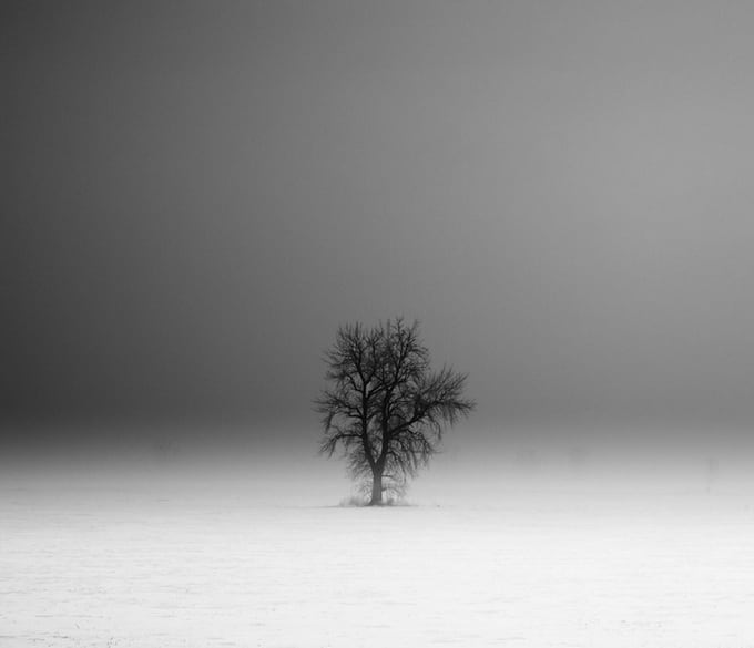 derektoye1