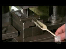 20 Random GIFs You'll Never Stop Watching 13