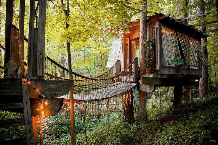 treehouse cabin