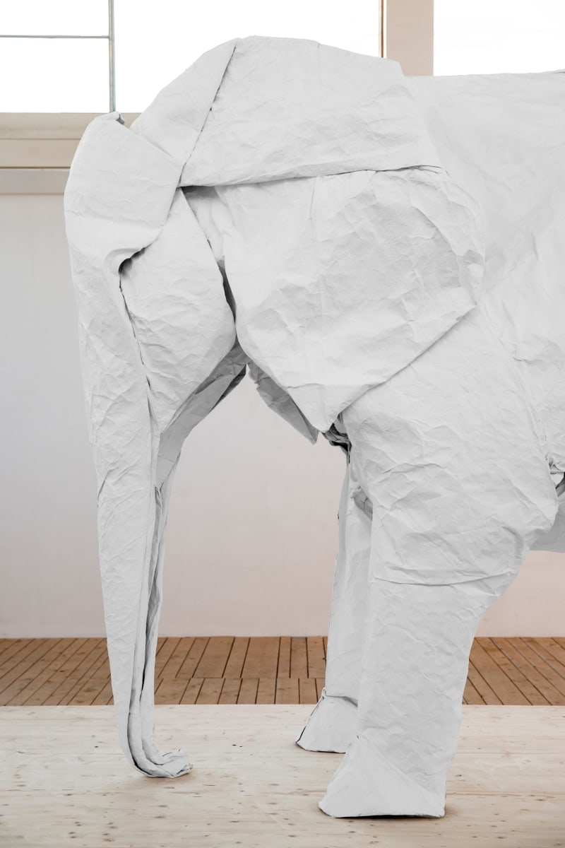 optimized-sipho-mabona_white_elephant02