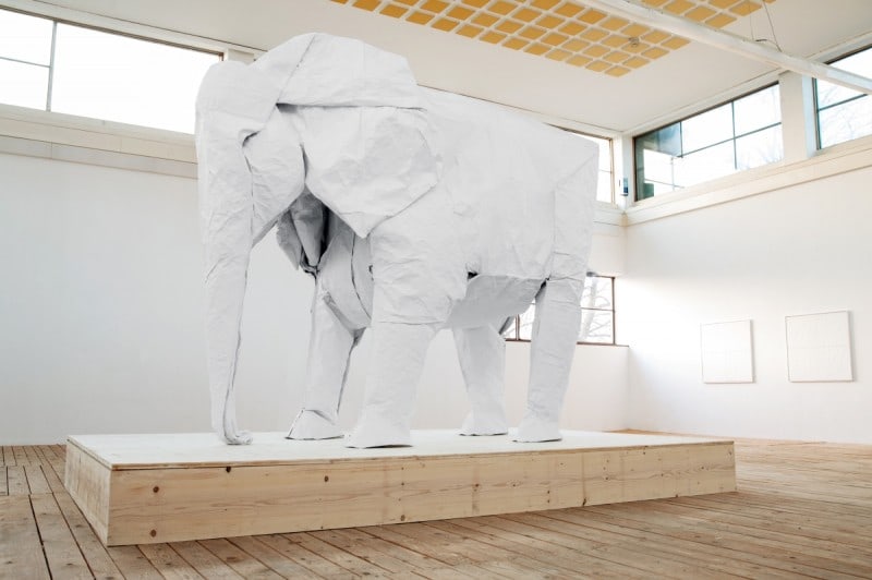 optimized-sipho-mabona_white_elephant06