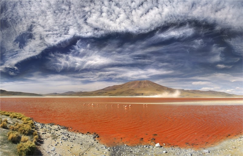 yury pustovoy4
