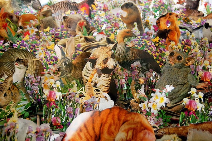 flora-and-fauna-paper-4
