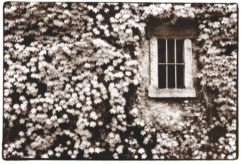 Fine Art Photography By Mark Boughton FREEYORK