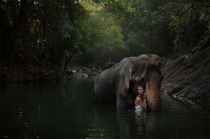 photos-with-real-animals-by-katerina-plotnikova-4