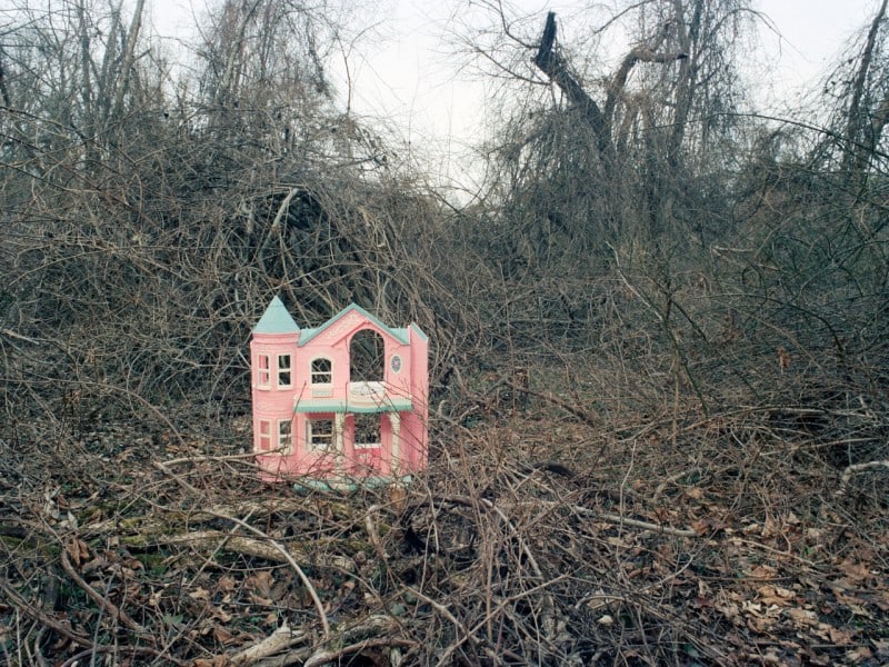 steph telesco6