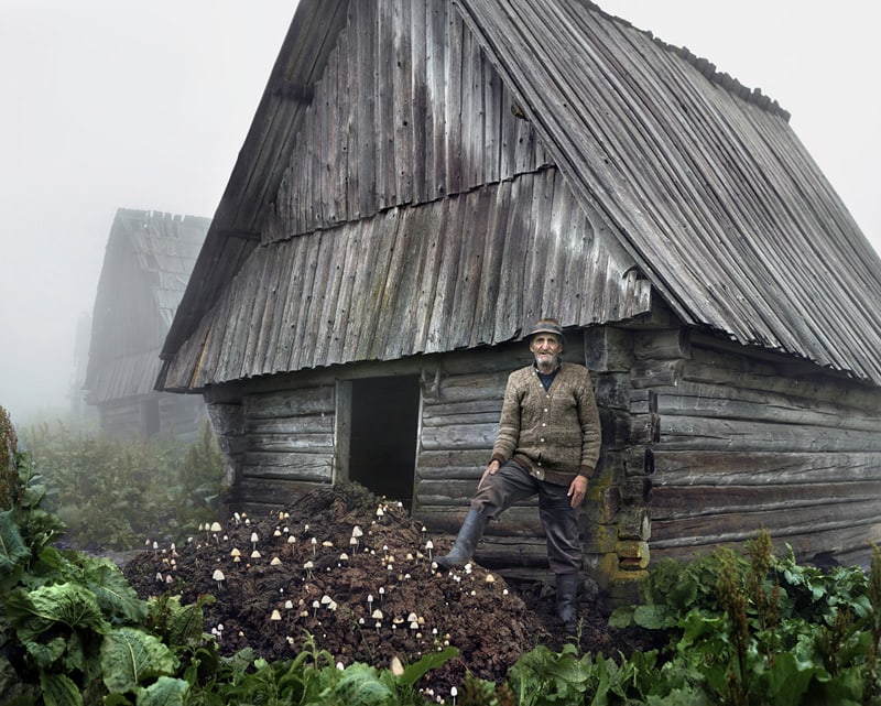 tamas dezso7