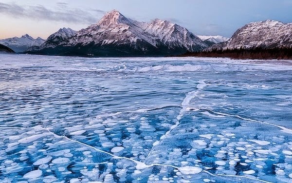 frozen+methane+bubbles+in+alberta,+canada.+-+the+30+most+amazing+photos+of+frozen+things+in+honor+of+the+coldest+morning+of+the+21st+century