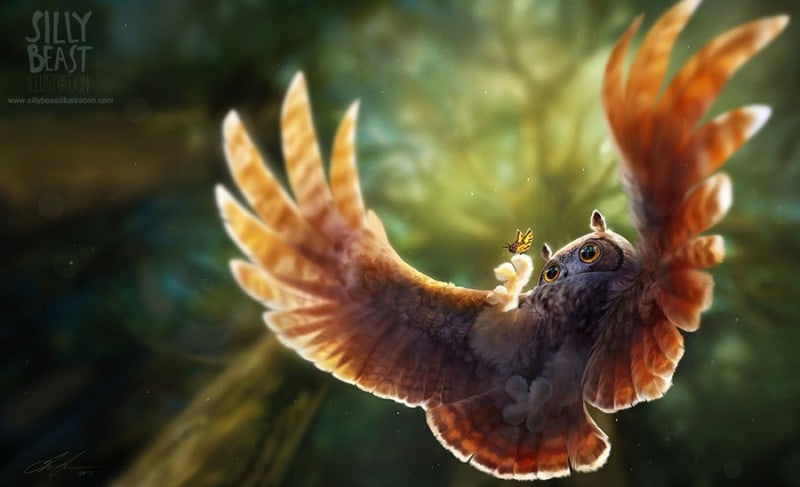 the-owl