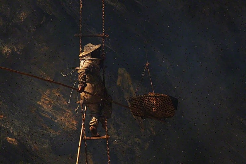 Andrew Newey’s Striking Photographs of Ancient Traditional Honey Hunters in Nepal honeyhunters16
