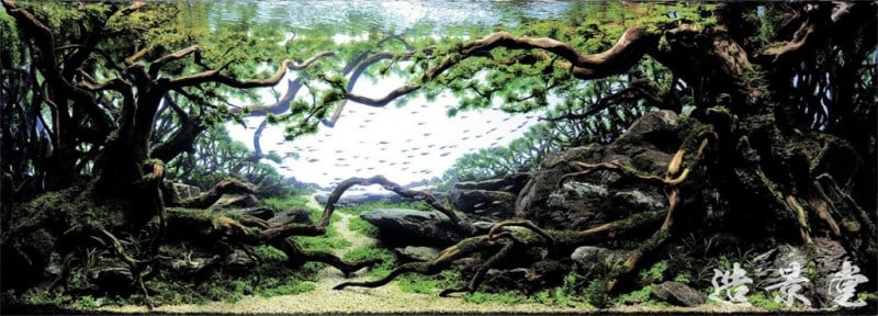 underwater-art-aquascaping-02-1024x369