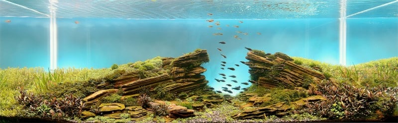 underwater-art-aquascaping-05