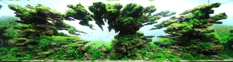 underwater-art-aquascaping-09-1024x277