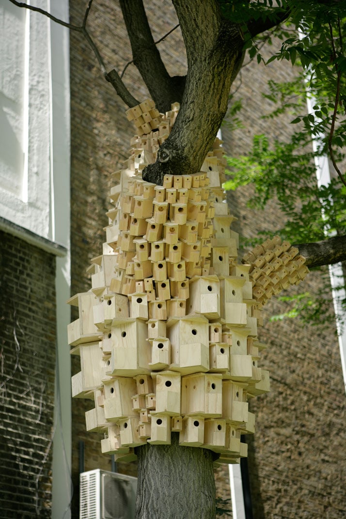 bird-blockhouse-3