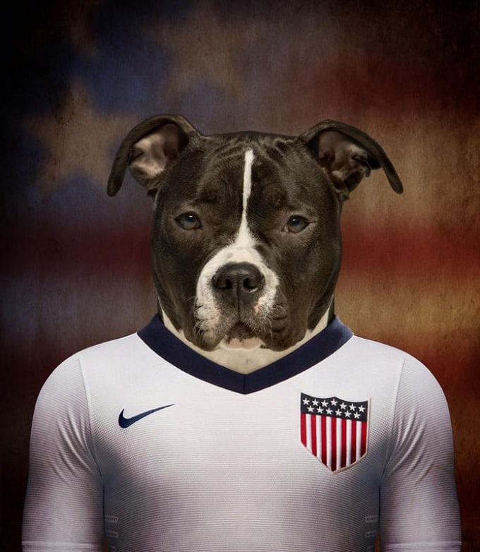 World Cup: Dogs In National Football Team Jerseys | FREEYORK