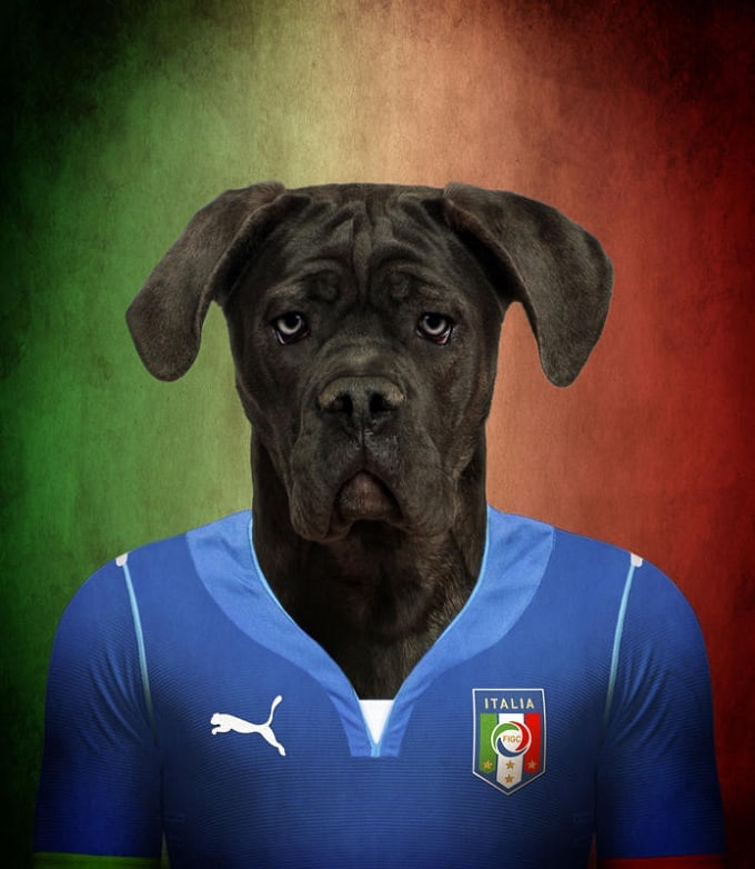 sobaki-i-futbol-6