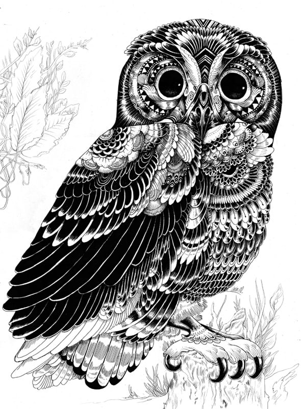 Black and White Drawings of Iain Macarthur tumblr_ml582zmtso1rdgexeo9_1280