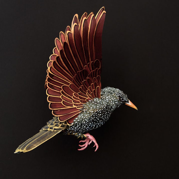 13-Bird-Paper-Sculptures-by-Diana-Beltran-Herrera-yatzer