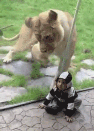 friendsatzoo30