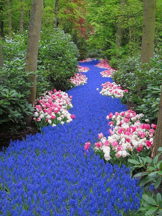 river-of-flowers-holland-2