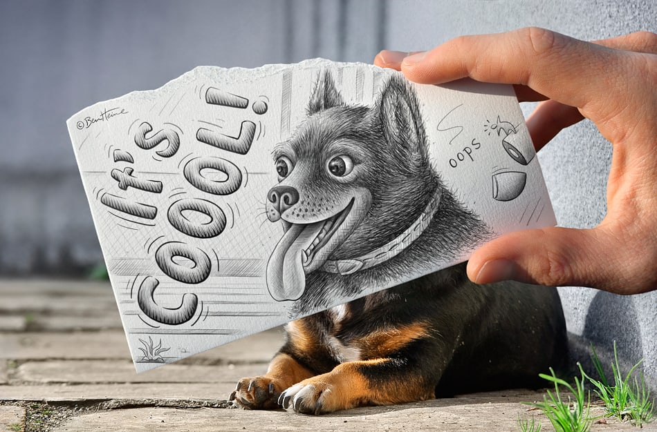 crazy-dog