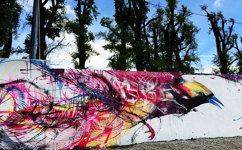New Spray-Painted Birds by Brazilian Artist L7m new_spray_painted_birds_by_artist_l7m_2014_05
