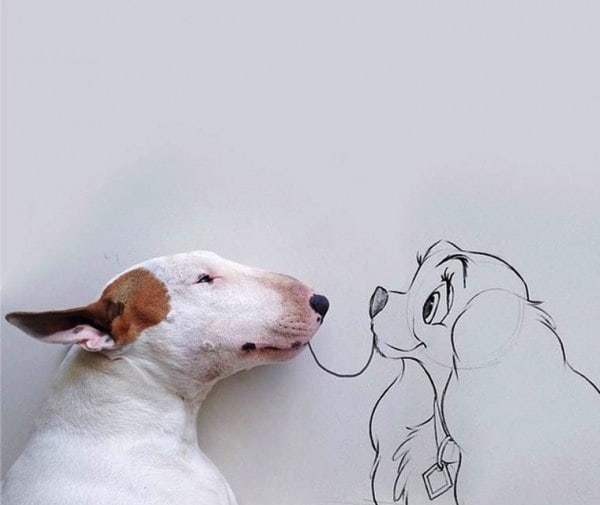 rafael_mantesso_creates_playfull_illustrations_around_his_bull_terrier_2014_04